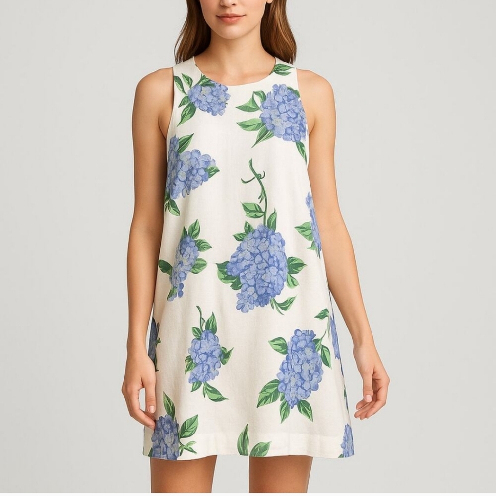 JOIE Floral Sleeveless Dress - Blue and White
